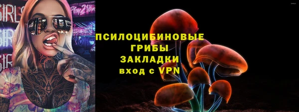 мдпв Нея
