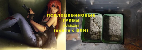 мдпв Нея