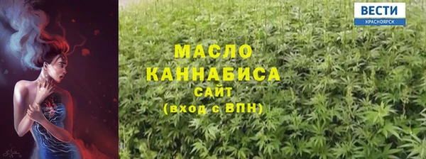 твердый Новозыбков