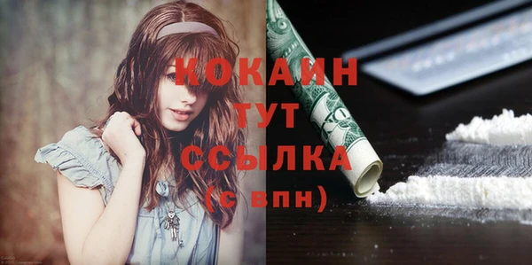 мдпв Нея