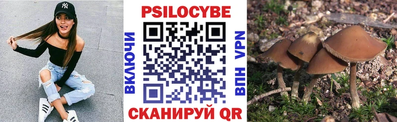 Псилоцибиновые грибы ЛСД  Купить где  Кореновск 